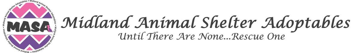 Midland Pets